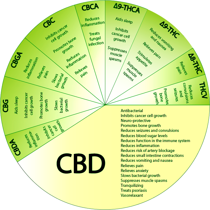 about-cannabinoids