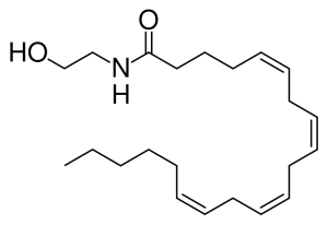 Anandamide