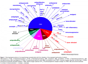 Cannabinoids Pie Chart